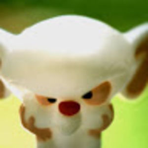 Meet your Posher, Todd